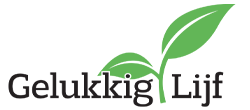 light logo